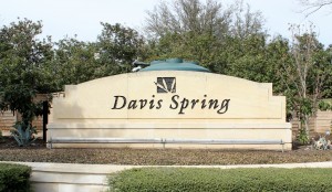 Davis Spring Austin homes for sale