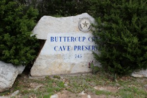 Buttercup Creek Cedar Park Homes for Sale