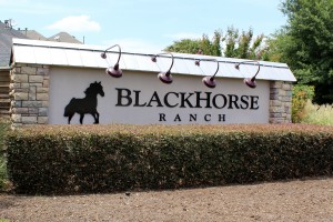 Blackhorse Ranch Homes in Cypress