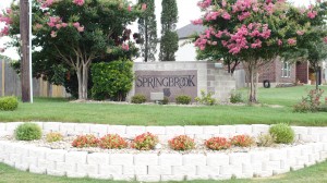 springbrook pflugerville homes for sale